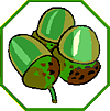 Green Acorn Scheme