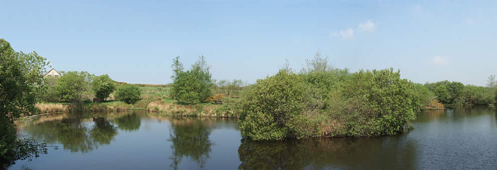 Island Lake, coarse fishing lake at East Rose Farm, Bodmin, Cornwall