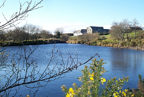 A tranquil setting at East Rose fishing lakes