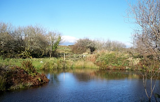 East Rose fishing lakes