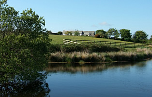 Tranquil fishing lakes