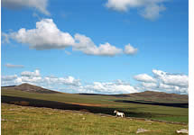 Bodmin Moor