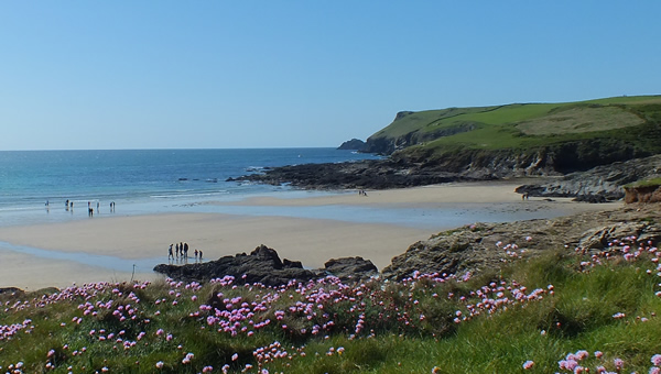 The wide sandy beach at Polzeath on the north coast of Cornwall